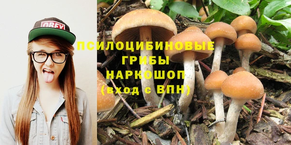 mix Протвино